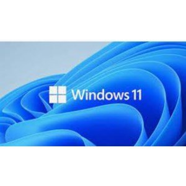 MICROSOFT WINDOWS HOME 11 64BIT ENG INTL 1PK DSP O